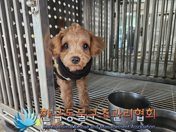 한국동물구조관리협회_441409202401673